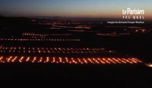 Bourgogne: des milliers de feux pour protéger les vignes du froid