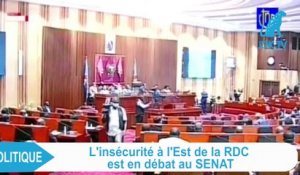 RDC : Débat au Sénat sur l'insécurité dans l'est du pays