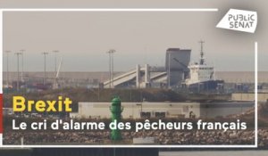Brexit : le cri d'alarme des pêcheurs français