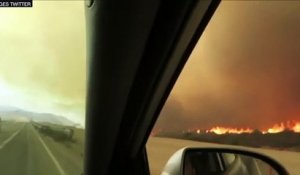 Californie : 82 600 habitants évacués en raison d'un incendie