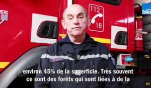 Les pompiers de Dordogne mobilisés face aux feux de forêt du Printemps