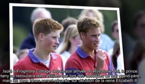 ✅ William et Harry - pourquoi la reine a décidé de les séparer aux obsèques de Philip