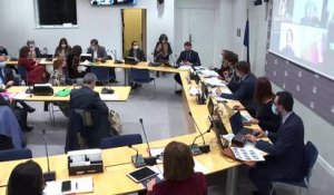 Commission des affaires culturelles : Mme Roselyne Bachelot, ministre de la culture - Mardi 12 janvier 2021