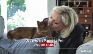 Marine Le Pen, future éleveuse de chats ?