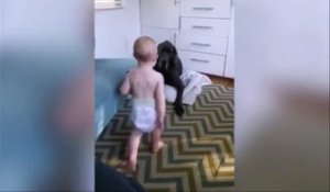 Ce bébé n'a pas peur du gros chien