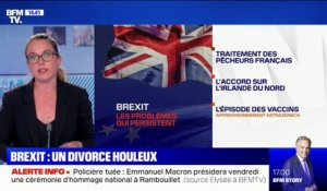 Brexit: un divorce houleux entre le Royaume-Uni et l'Union européenne