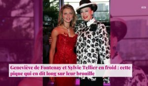 Geneviève de Fontenay et Sylvie Tellier en froid : cette pique qui en dit long sur leur brouille