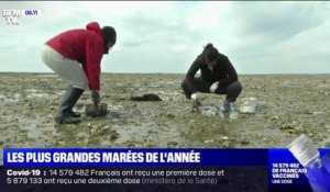 Les plus grandes marées de l'année ont commencé en Bretagne et Normandie