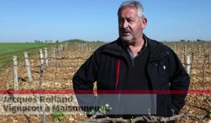 VIDEO. Vienne : les viticulteurs face au gel