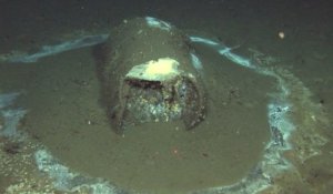 En Californie, 27 000 barils de pesticide et plus de 100 000 débris ont été découverts dans une décharge sous-marine