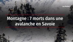 Montagne : 7 morts dans une avalanche en Savoie