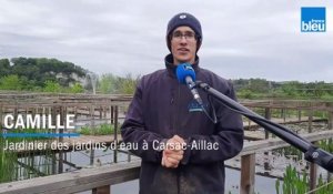 Au fil de l'eau - Camille, jardinier des jardins d’eau à Carsac Aillac
