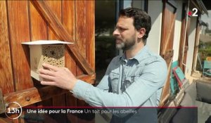 Environnement : près de Lyon, une entreprise protège les abeilles sauvages