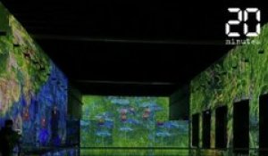 Bordeaux: Trois grandes expos à ne pas rater à la réouverture des musées