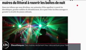 Déconfinement : des maires réclament la réouverture des discothèques pour l'été