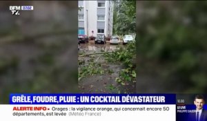 Grêle, foudre, pluie: les images des orages qui se sont abattus sur la France