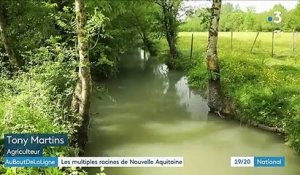 Nouvelle-Aquitaine : une région aux multiples racines