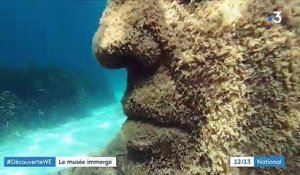 Cannes : un écomusée immergé à visiter en plongée sous-marine