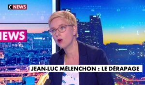Clémentine Autain dénonce de la "provocation" de certains "policiers syndiqués" - DM