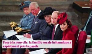 Meghan et Harry de nouveau parents : La famille royale réagit