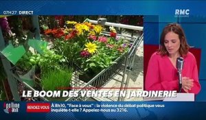 Dupin Quotidien : Le boom des ventes en jardinerie - 09/06
