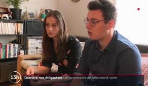 Énergie : que vaut vraiment l'électricité verte ?