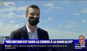Manifestations contre l'extrême droite: pour Jordan Bardella, "La France insoumise cherche à allumer un contre-feu"