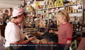 Normandie : un couple passionné par la Seconde Guerre mondiale plonge dans le passé