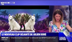 Les chiens de Julien Doré, stars du clip de sa nouvelle chanson "Waf"