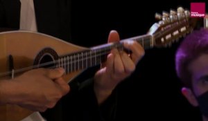 Raffaele Calace : 1er mvt du Concerto pour mandoline n°2 en la min op. 144 (Martineau/Garcia/Quatuor Elmire)