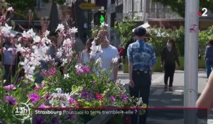 Bas-Rhin : pourquoi la région subit régulièrement des petits séismes ?