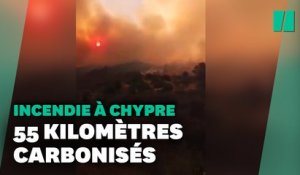 Chypre touché par "le pire incendie depuis des décennies"