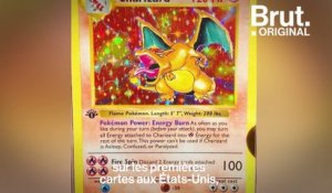 Rencontre avec un collectionneur de cartes Pokémon