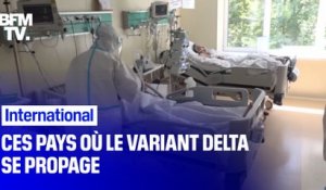 Ces pays où le variant delta se propage