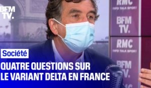 Quatre questions sur le variant Delta en France
