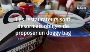 Les restaurateurs sont désormais obligés de proposer un doggy bag