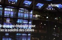 Au museum d'Histoire naturelle, des cordistes mobilisés pour bichonner les baleines