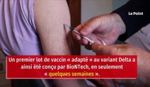 Covid-19 : un vaccin adapté au variant Delta « dans les 100 jours » ?