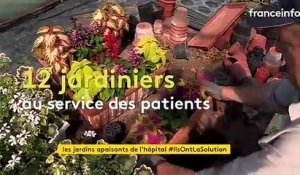 À Sarreguemines, des jardins apaisants au centre hospitalier spécialisé en santé mentale