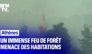 Ce mardi, un feu de forêt s'est déclaré à Athènes et menace des habitations