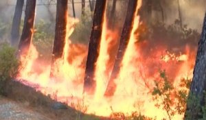 Des incendies ravagent le sud de la Turquie, des touristes et habitants évacués