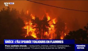 Incendies en Grèce: l'île d'Eubée toujours en proie aux flammes