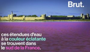 Les salins de Camargue, des lacs roses au sud de la France