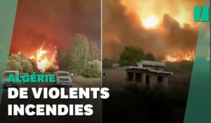 En Algérie, une trentaine d'incendies ont fait au moins cinq morts