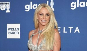 Britney Spears Shares #FreeBritney Flag as She Plans to Step Back From Social Media | Billboard News