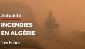 En Algérie, plus de 40 morts dans des incendies qui ravagent le nord