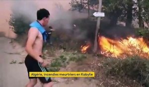 Algérie : la Kabylie touchée par des incendies meurtriers