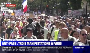La manifestation contre l'extension du pass sanitaire, organisée par un groupe de gilets jaunes à Paris, se déroule dans le calme