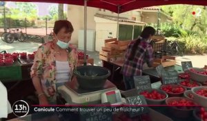 Canicule : leurs astuces pour trouver un peu de fraîcheur