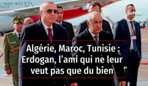 Algérie, Maroc, Tunisie : Erdogan, l’ami qui ne leur veut pas que du bien